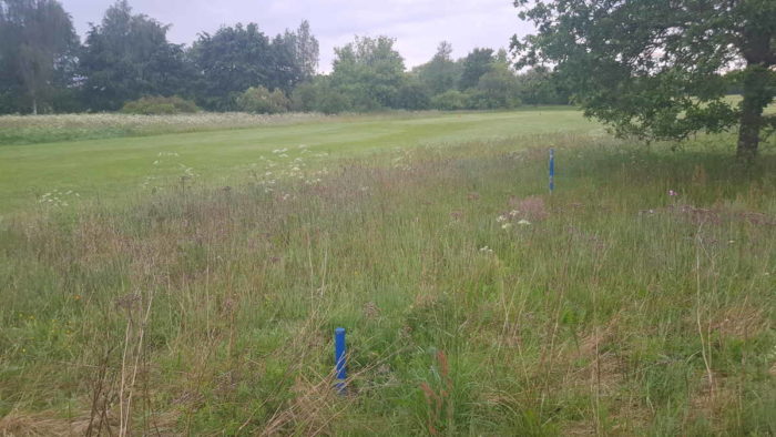 In hohem Gras markieren zwei blaue Pflöcke einen Bereich aus dem keine Bälle geschlagen werden dürfen.
