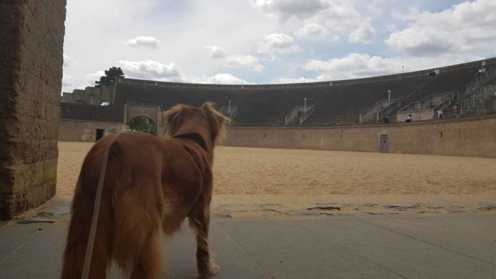 Groß im Vordergrund ist unser Hund zu sehen, sie steht im Zugang zum Kampfplatz des Amphitheaters im archäologischen Park Xanten. Man sieht etwa zwei Drittel des Sandbodens und die Tribünenplätze.
