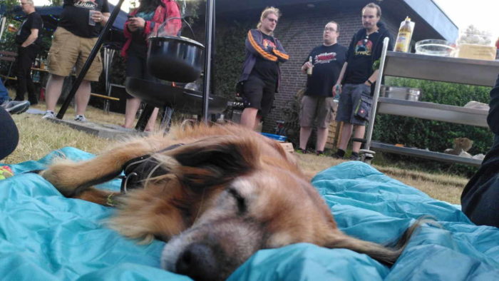 Im Vordergrund schläft unser Hund Lexi auf einer türlisfarbenen Decke, dahinter ist ein Topf über einer Feuerschale und eine Gruppe Menschen zu sehen. (Foto von Gesche)
