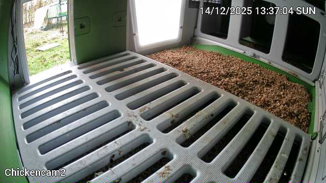 Der Blick unserer neuen Kamera in den zweiten, größeren Hühnerstall. Im Vordergrund ist ein Sitzrost mit deutlichen Kotablagerungen zusehen. Dahinter in Sitzbereich mit Einstreu und drei abgetrennte Legenester, die im Dunkeln liegen. Oben links im Bild ist durch die Stalltür der zweite, ältere Hühnerstall zu erkennen. In der linken unteren Ecke steht "Chickencam2", oben rechts das Datum zum Zeitpunkt der Aufnahme.
