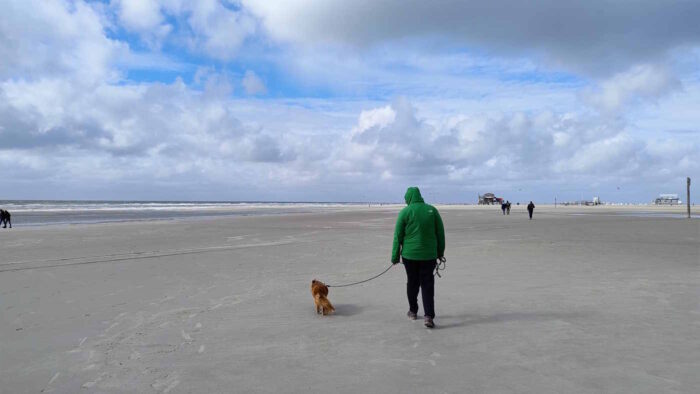 Das Bild zeigt die Weite des Strands von St. Peter-Ording. In der Bildmitte ist die Herzdame zusammen mit unserem Hund von hinten zu sehen, am Horizont erkennt man die aufgewühlte Nordsee. Das Wetter ist insofern ok, als es nicht regnet, der Himmel ist größtenteils bewölkt, man sieht aber auch etwas blauen HImmel.